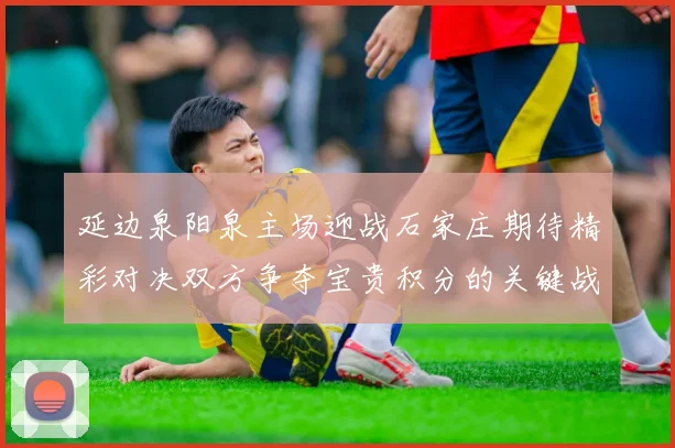 延边泉阳泉主场迎战石家庄期待精彩对决双方争夺宝贵积分的关键战役