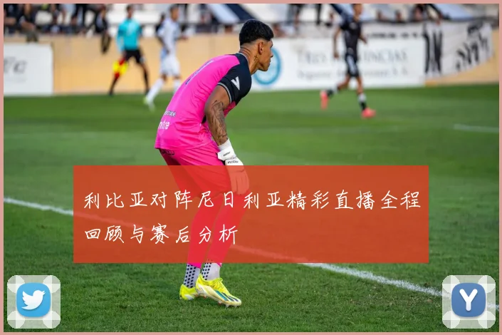 利比亚对阵尼日利亚精彩直播全程回顾与赛后分析