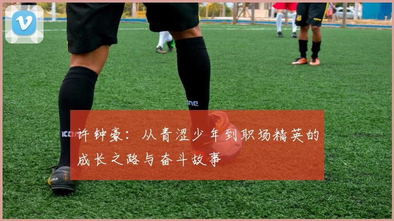 许钟豪：从青涩少年到职场精英的成长之路与奋斗故事