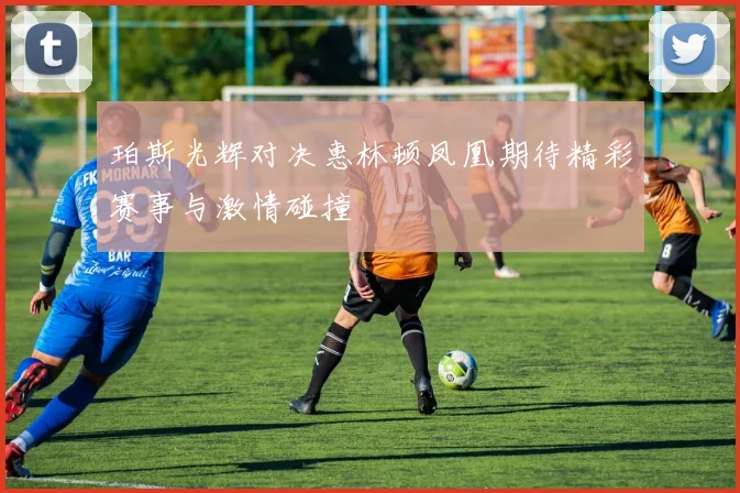 珀斯光辉对决惠林顿凤凰期待精彩赛事与激情碰撞