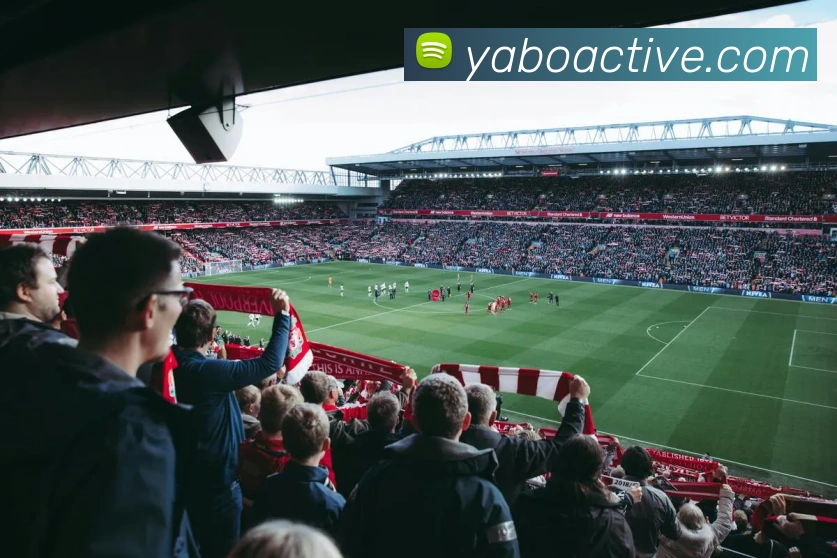 亚博体育APP 封面图